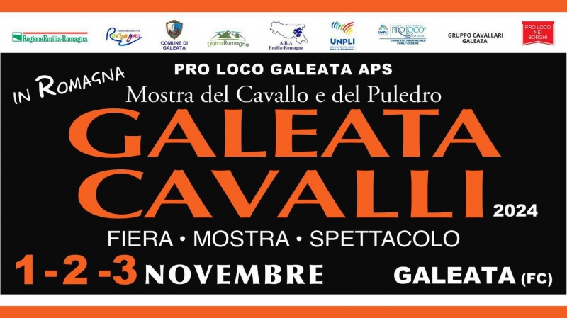 Galeata Cavalli