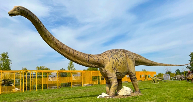 Dino Park 