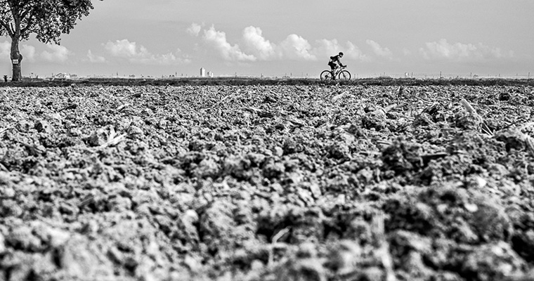 Strade bianche del Sale