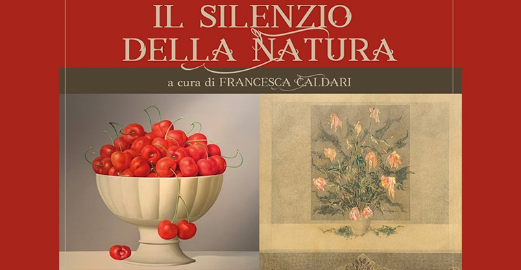 Il Silenzio della Natura