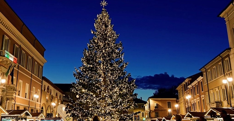 Natale sotto l’albero