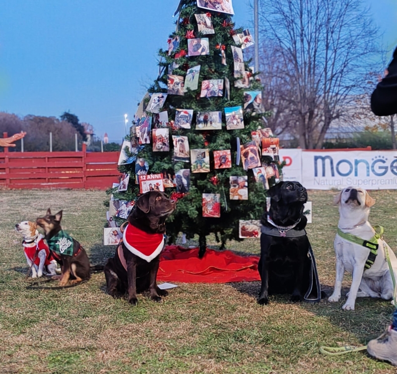 VILLAGGIO DI BABBO NATALE PER CANI