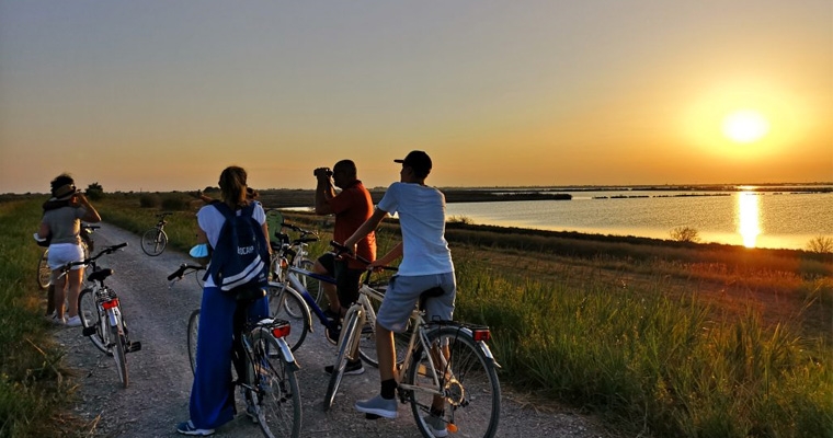 La pedalata dei fenicotteri al tramonto