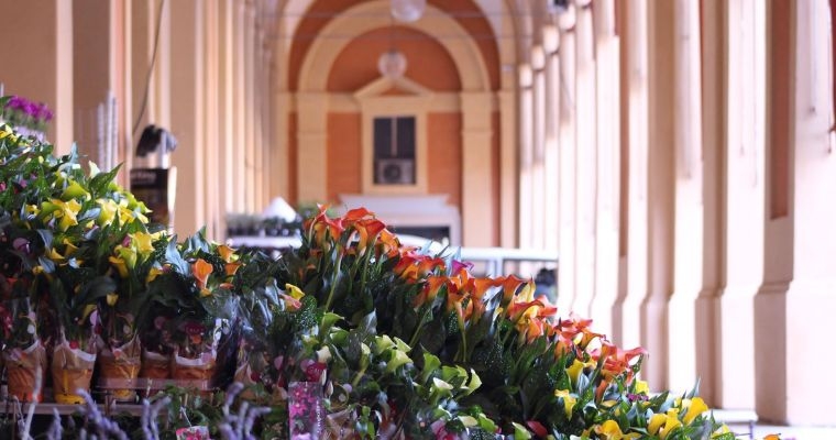 Giardini e Terrazzi